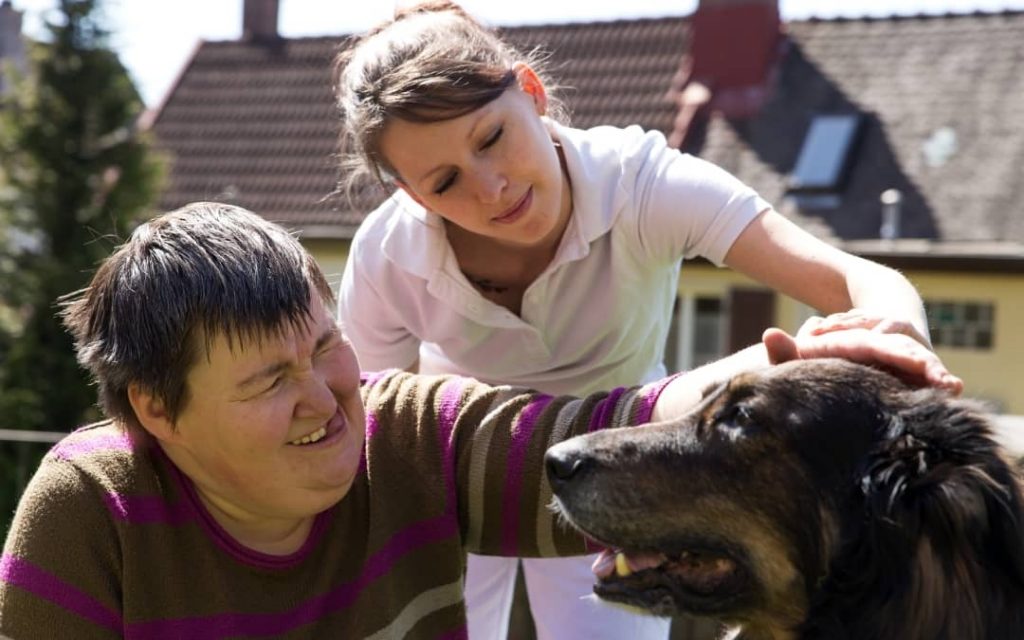 zajecia terapeutyczne z psem w dps